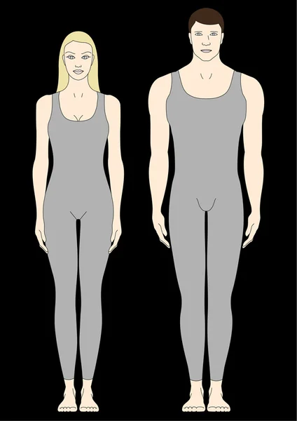 男性与女性的身体 — 图库矢量图片