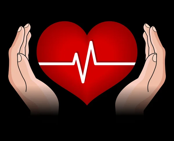 Corazón humano en las manos — Vector de stock