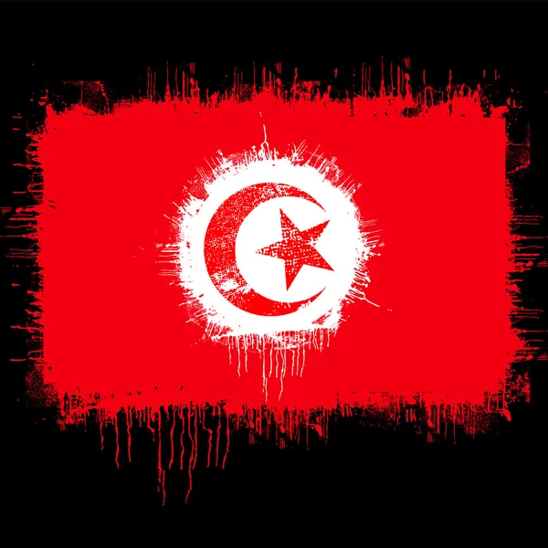 Flag of tunisia — Stock Vector