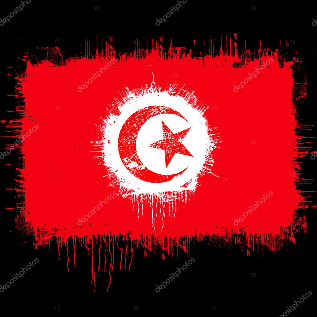 Download Flag of tunisia — Stock Vector © alekup #5994806