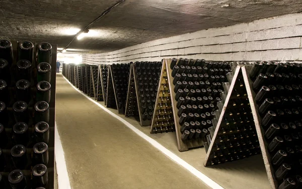 Champagne Winery — Stock Photo, Image