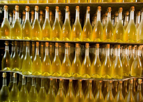 Champagne Winery — Stock Photo, Image