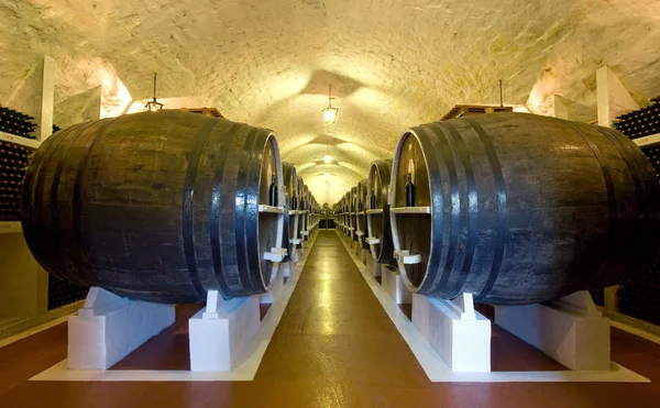 Large barrels — Stock Photo, Image
