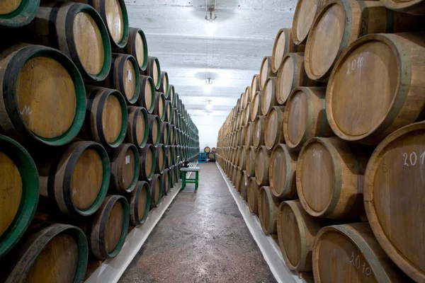 Wine cellars — Stock Photo, Image