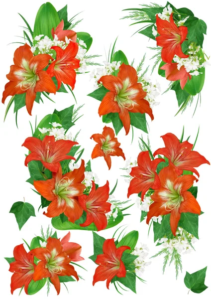 Květinová sada s pracovní cestou (barevné ilustrace) — Stock fotografie