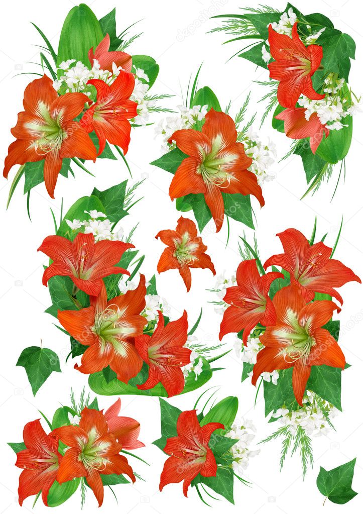 Flower set with work path (color illustration)