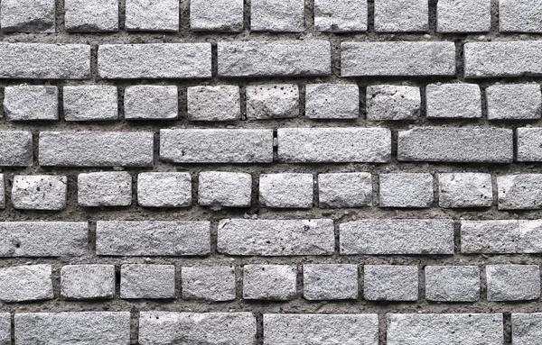 O Muro — Fotografia de Stock