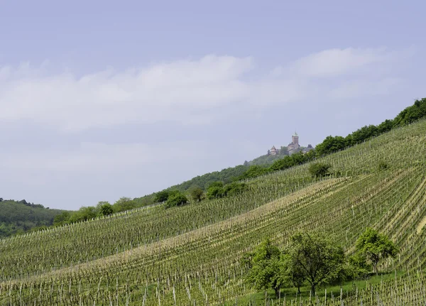 stock image French landscape