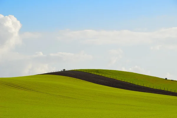 Colina verde — Foto de Stock
