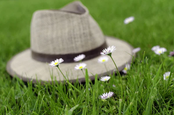Hat and flowers — Stock Photo, Image