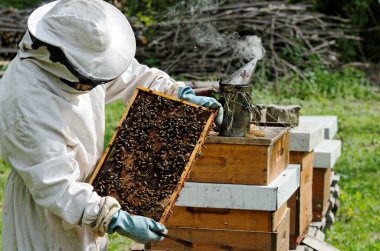 A beekeeper at work clipart