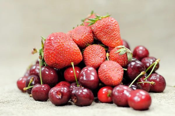 stock image Red fruit