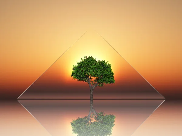 The last tree — Stock Photo, Image