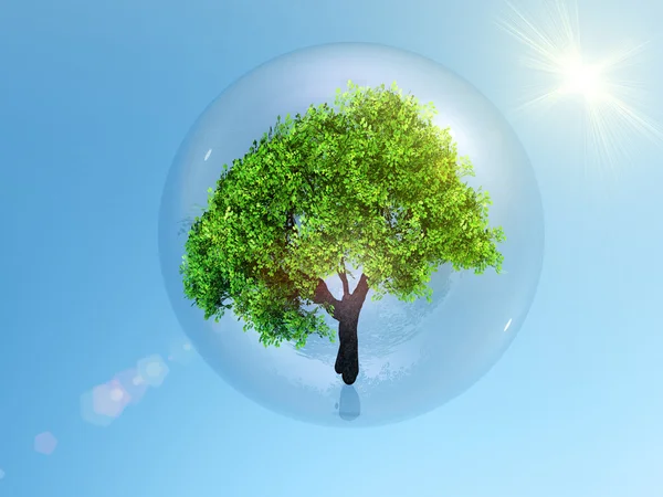 Árbol en una burbuja — Foto de Stock