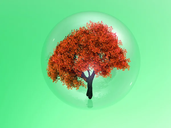 Tree in a bubble — Stock Photo, Image