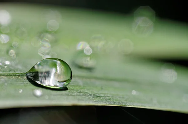Drop and droplet — Stock Photo, Image