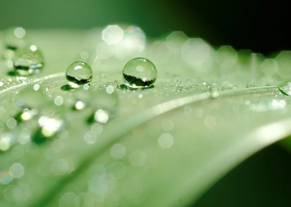 Spadek i za pomocą dropletów — Zdjęcie stockowe