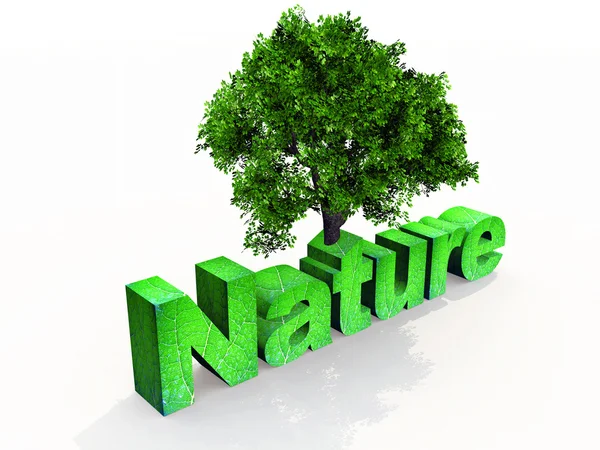 Natureza — Fotografia de Stock