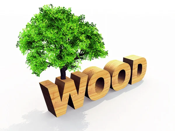 Tree and Wood — Stock Photo, Image