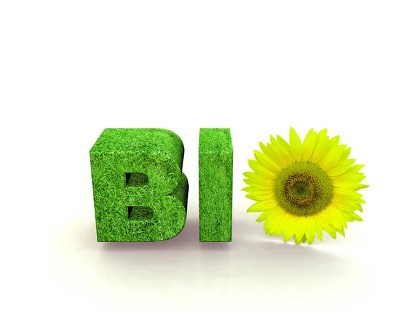 Bio flower — Stock Photo, Image