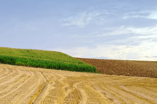 Jordbruket sammansättning — Stockfoto