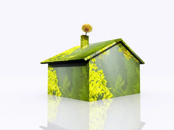 緑の家 — ストック写真