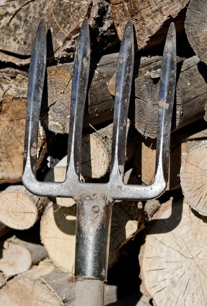 Forchetta e legno — Foto Stock