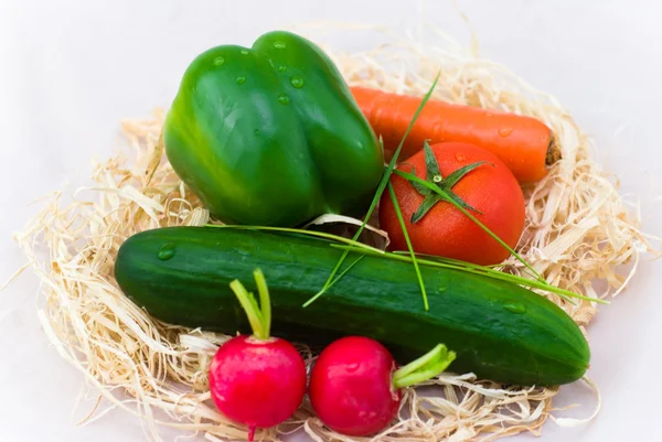 Olika grönsaker — Stockfoto