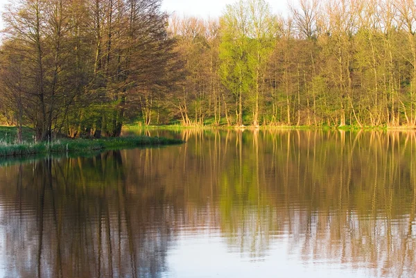 Stock image Beautiful kind of the river with reflection of trees