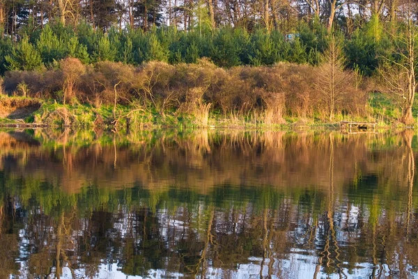 stock image Beautiful kind of the river with reflection of trees