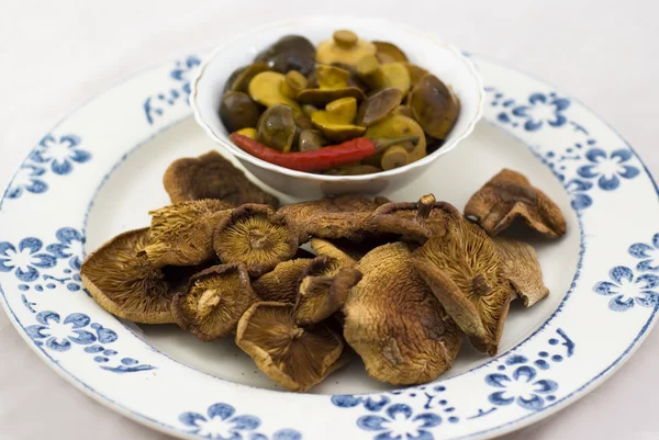 Marinada com cogumelos secos em uma tigela — Fotografia de Stock