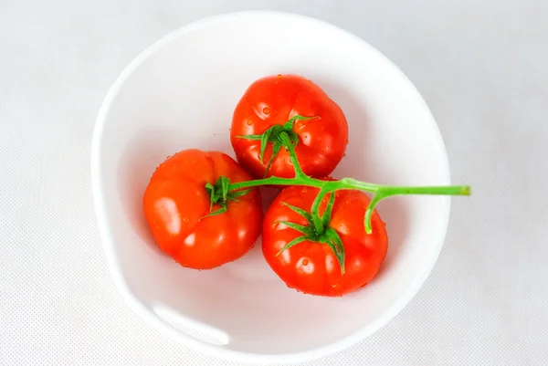 Røde tomater – stockfoto