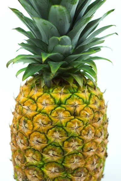 Verse ananas vruchten met groene bladeren geïsoleerd op witte achtergrond — Stockfoto