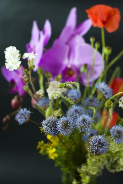 Eimer mit frischen Wildblumen im Sommer isoliert auf schwarzem Hintergrund — Stockfoto