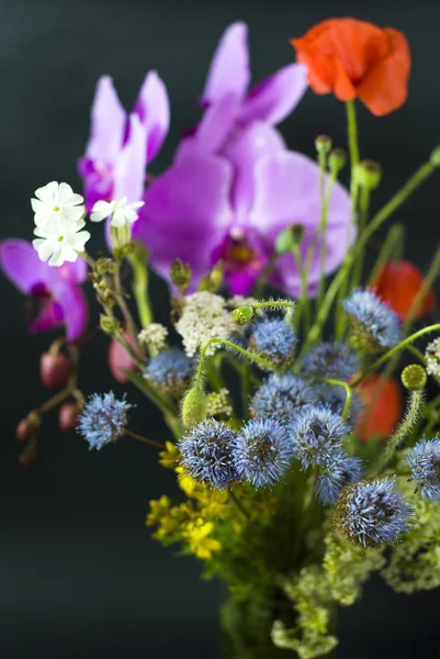 Strauß frischer Wildblumen auf schwarzem Hintergrund — Stockfoto