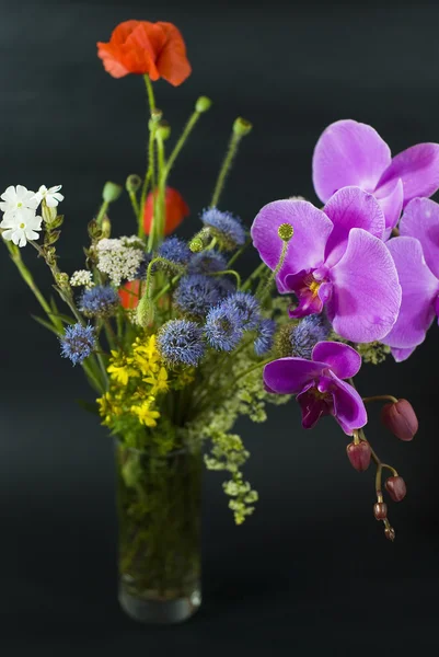 黒の背景に分離された夏新鮮な野生花の花束 — ストック写真