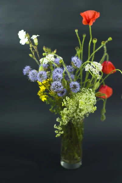 Bouquet di fiori selvatici freschi estivi isolato su sfondo nero — Foto Stock