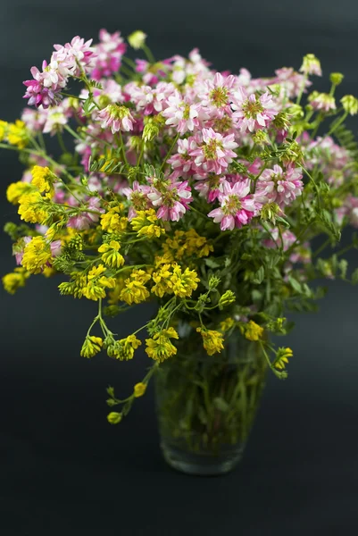 Bouquet of summer fresh wild flowers isolated on black background — Stock Photo, Image