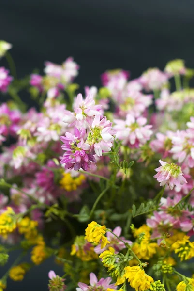 Boeket van zomer verse wilde bloemen geïsoleerd op zwarte achtergrond — Stockfoto