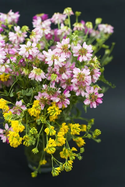 Bukiet świeżych kwiatów letnich dziki na białym tle na czarnym tle — Zdjęcie stockowe