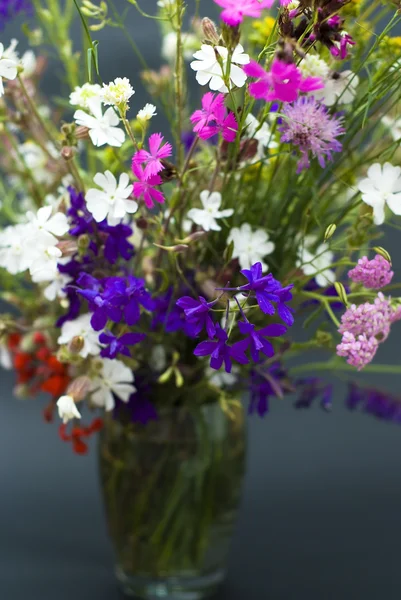 Ramo de flores silvestres frescas de verano aisladas sobre fondo negro — Foto de Stock