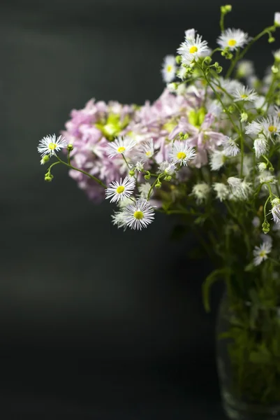 Ramo de flores silvestres sobre un negro blanco —  Fotos de Stock