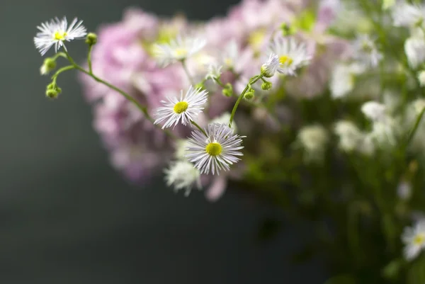Buquê de flores silvestres em um preto branco — Fotografia de Stock