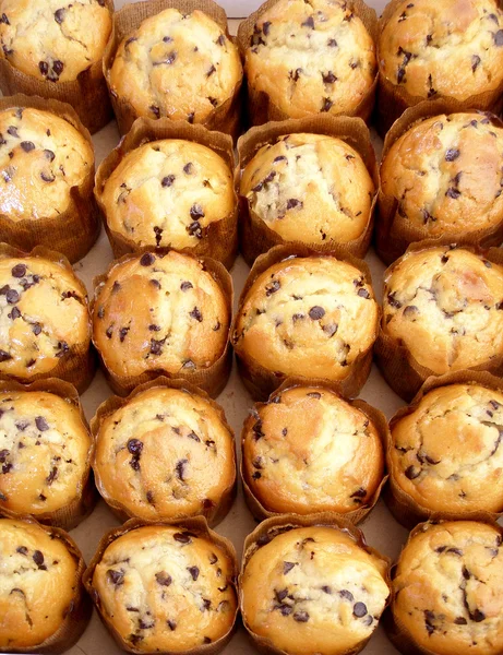 Frische Muffins. lizenzfreie Stockbilder