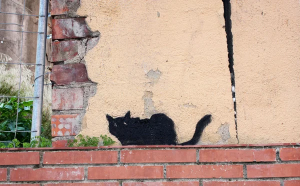 Gato pintado . — Fotografia de Stock