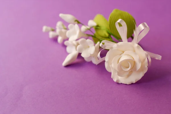 Bílé květy na fialovém pozadí. — Stock fotografie