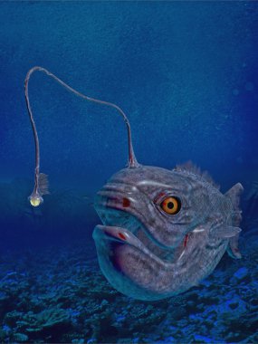 Lantern fish clipart