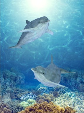 Happy dolphins clipart