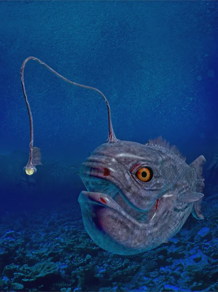 Lantern fish — Stock Photo, Image