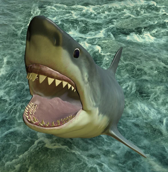 Атака акул — стоковое фото